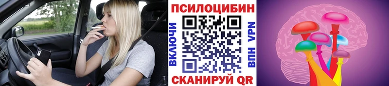 Псилоцибиновые грибы ЛСД Купить закладки Гвардейск