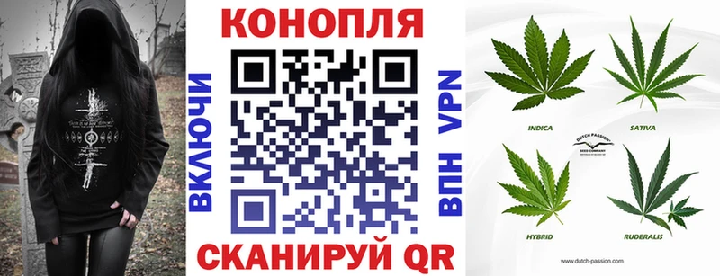 Бошки марихуана AK-47 Гвардейск